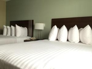 meridian inn and suites lloydminster