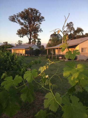 emmas cottage vineyard