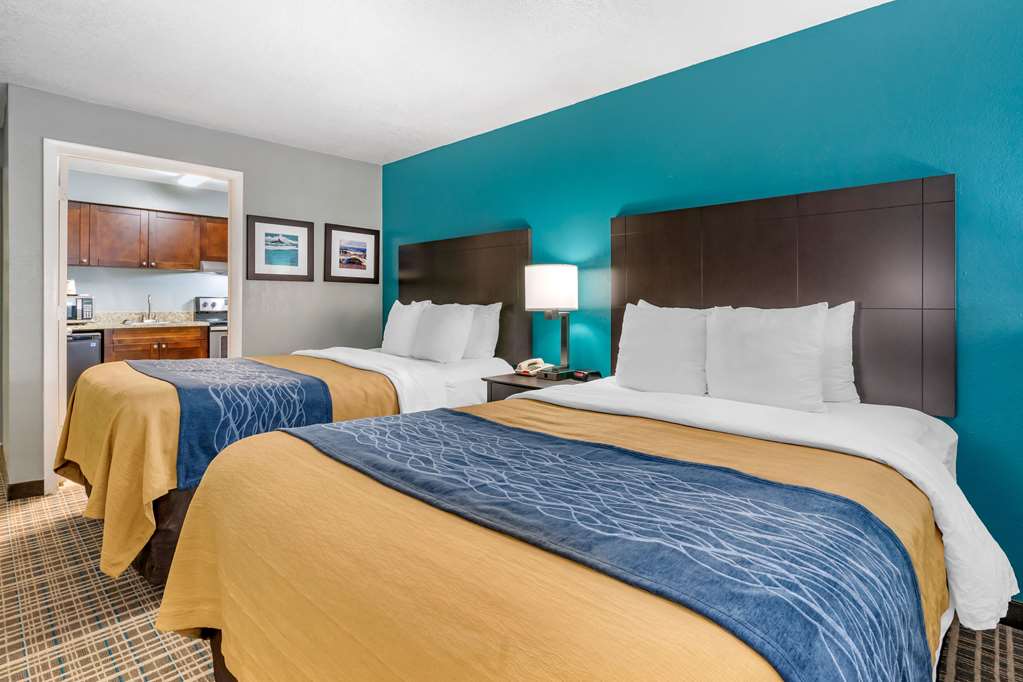 comfort inn sun city center ruskin tampa south
