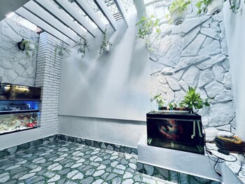 sakura hostel saigon