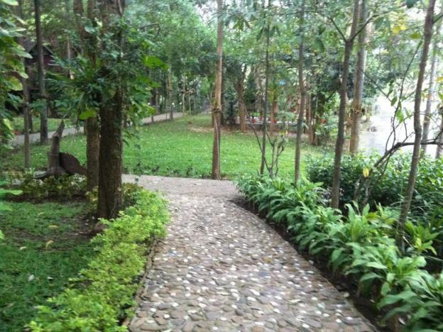 suanphet riverview resort