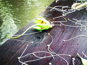 Baan Siriporn Resort,Samut Songkhram>>Amphawa,3 star