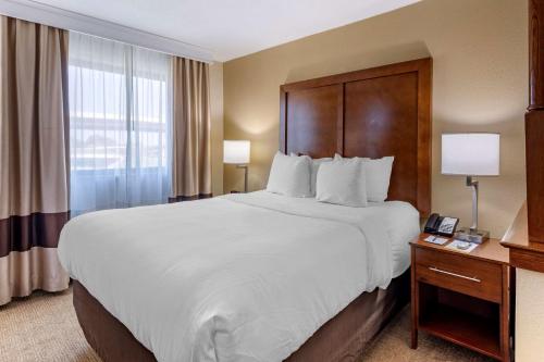 comfort inn nashville west