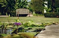 Villas In Pattaya,Jomtien Beach>>Jomtien,5 star