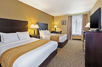 comfort inn whitehall near michigans adventure