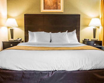 comfort inn whitehall near michigans adventure