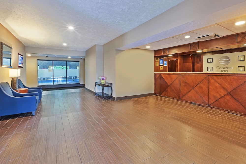 comfort inn whitehall near michigans adventure