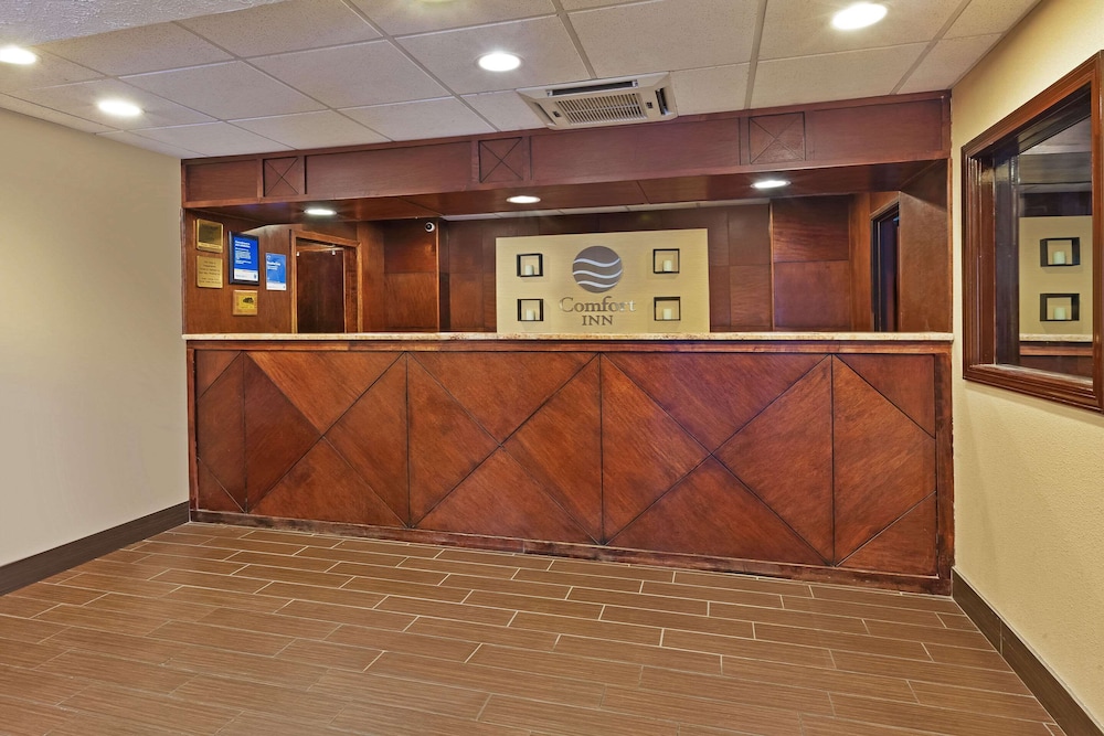 comfort inn whitehall near michigans adventure
