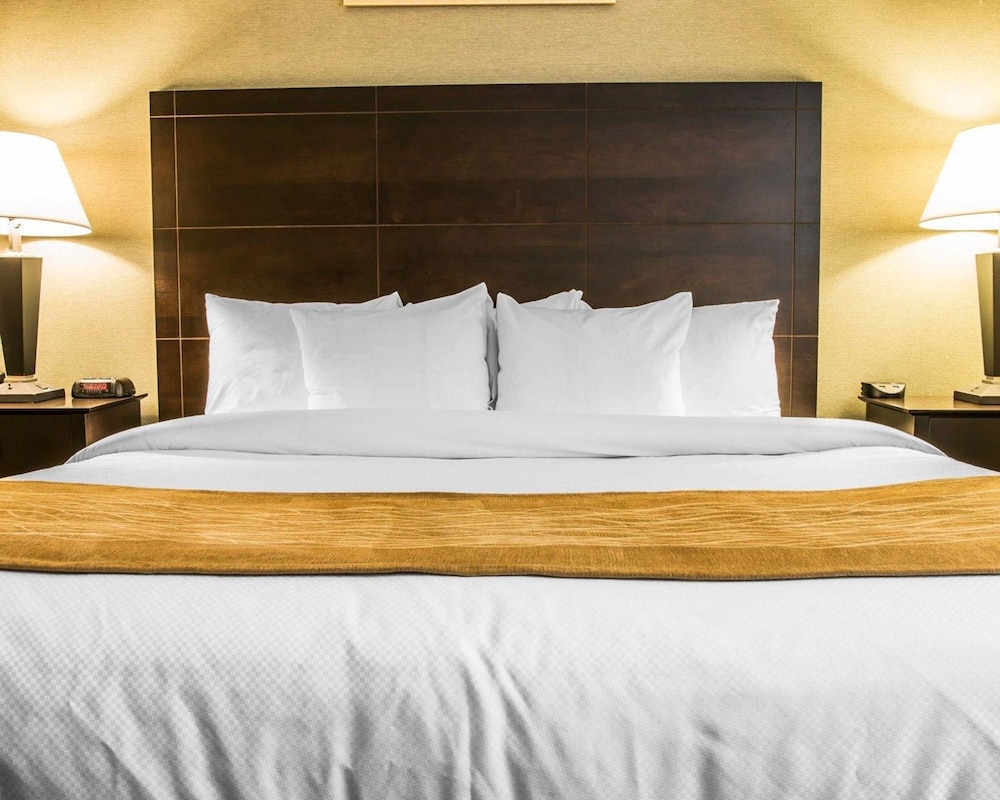 comfort inn whitehall near michigans adventure