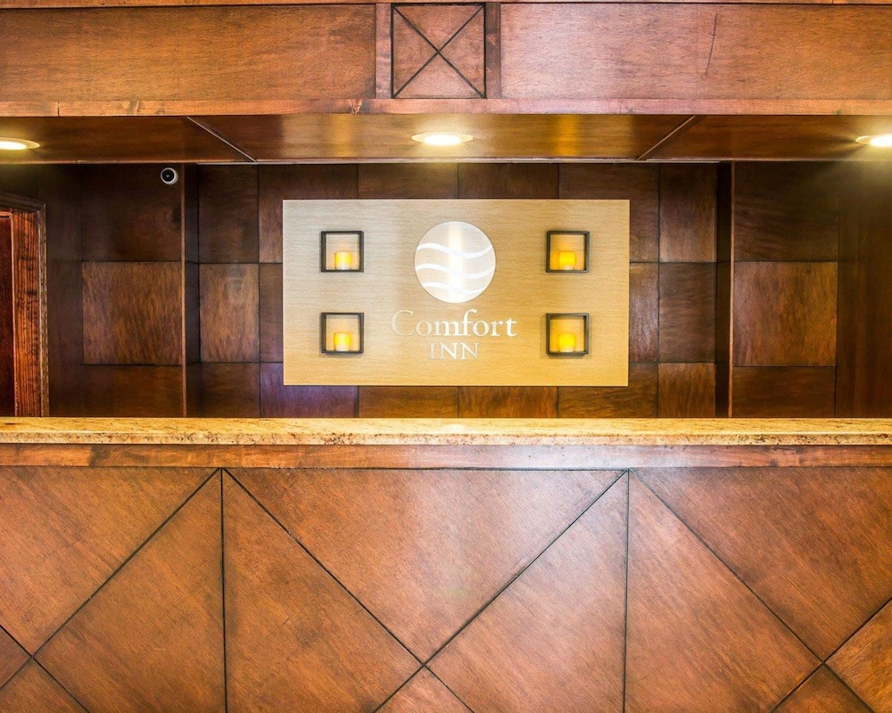 comfort inn whitehall near michigans adventure