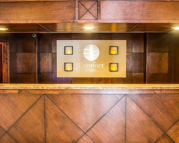 Comfort Inn Whitehall Near Michigan's Adventure,Montague>>Michigan,3 star