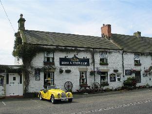 rose and crown