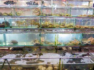 kim hong nhat guesthouse