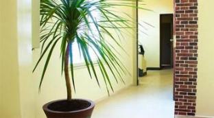 hotel mauritania centre tanger