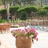 platanias