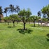 platanias