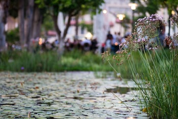 hotel rothschild 22 tel aviv