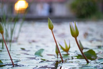 hotel rothschild 22 tel aviv