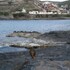 lavreotiki