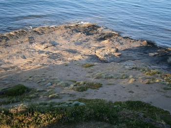 lavreotiki