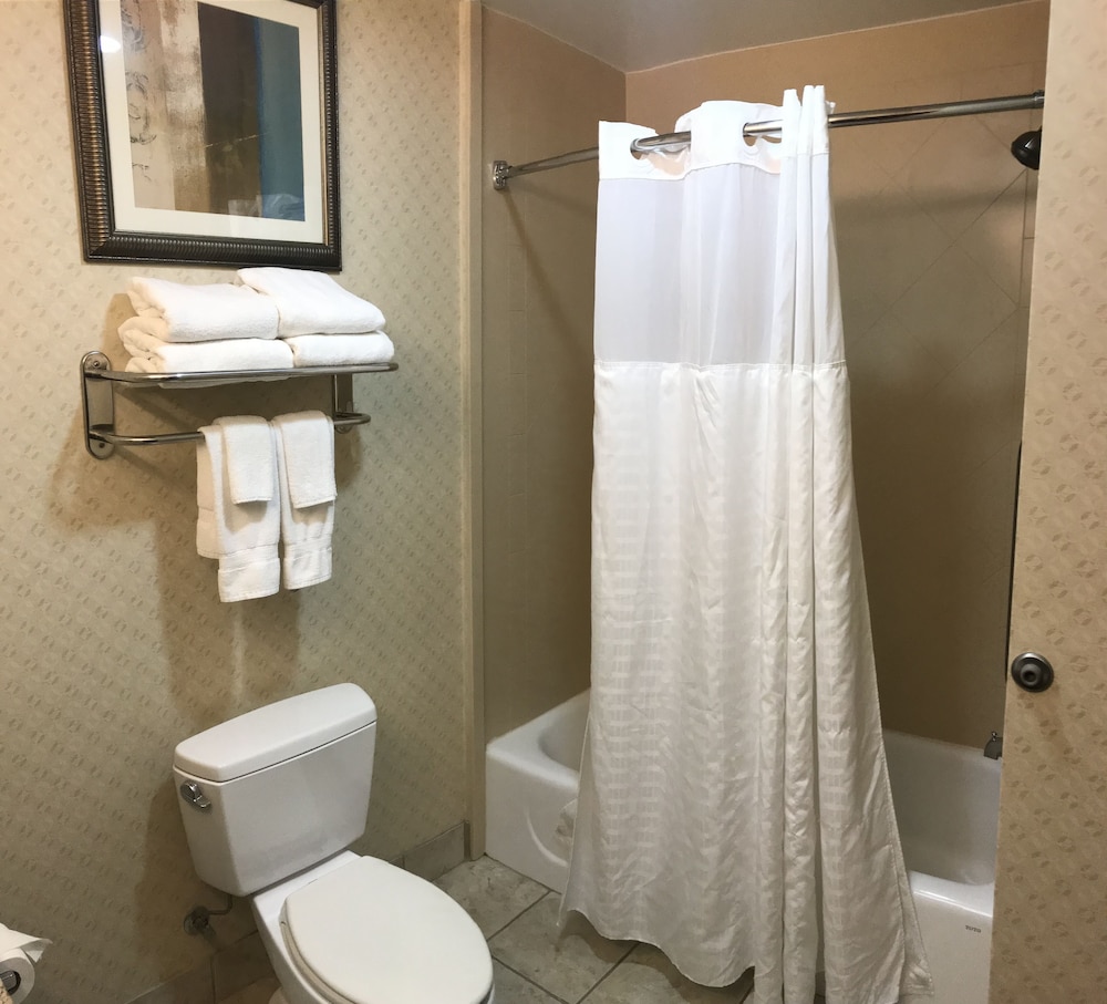 comfort suites olive branch memphis south
