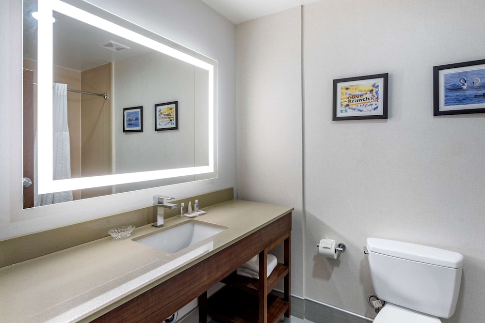 comfort suites olive branch memphis south