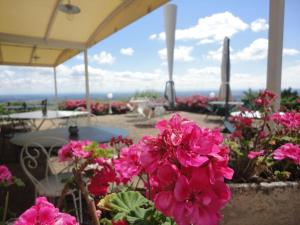 Auberge Les Hauts De Chenas,Dal Lake,3 star