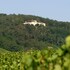 auberge les hauts de chenas