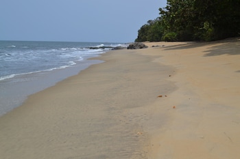 kribi