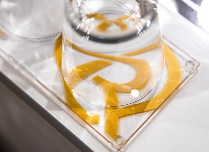 daiwa roynet hotel ginza premier