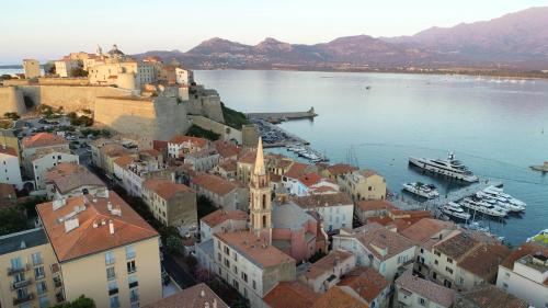 calvi