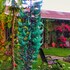 antigua guatemala