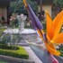 antigua guatemala