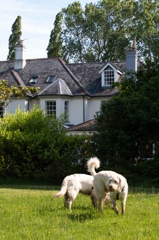 woodlands lodge hotel