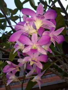 kun kun guest house ubud