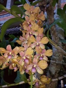 kun kun guest house ubud