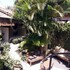 tibau do sul