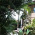 tibau do sul