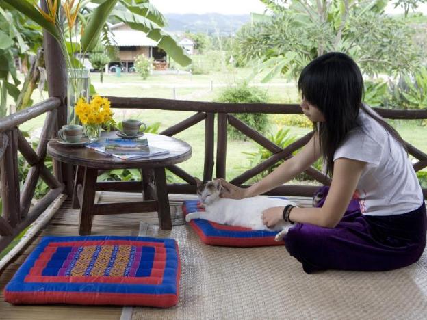 good morning pai adult only