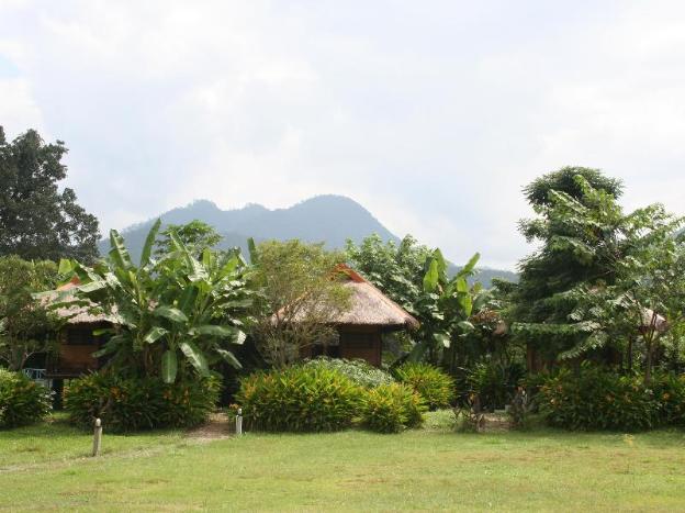 good morning pai adult only