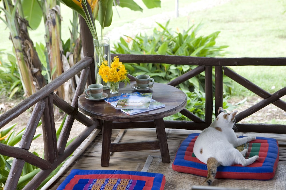 good morning pai adult only