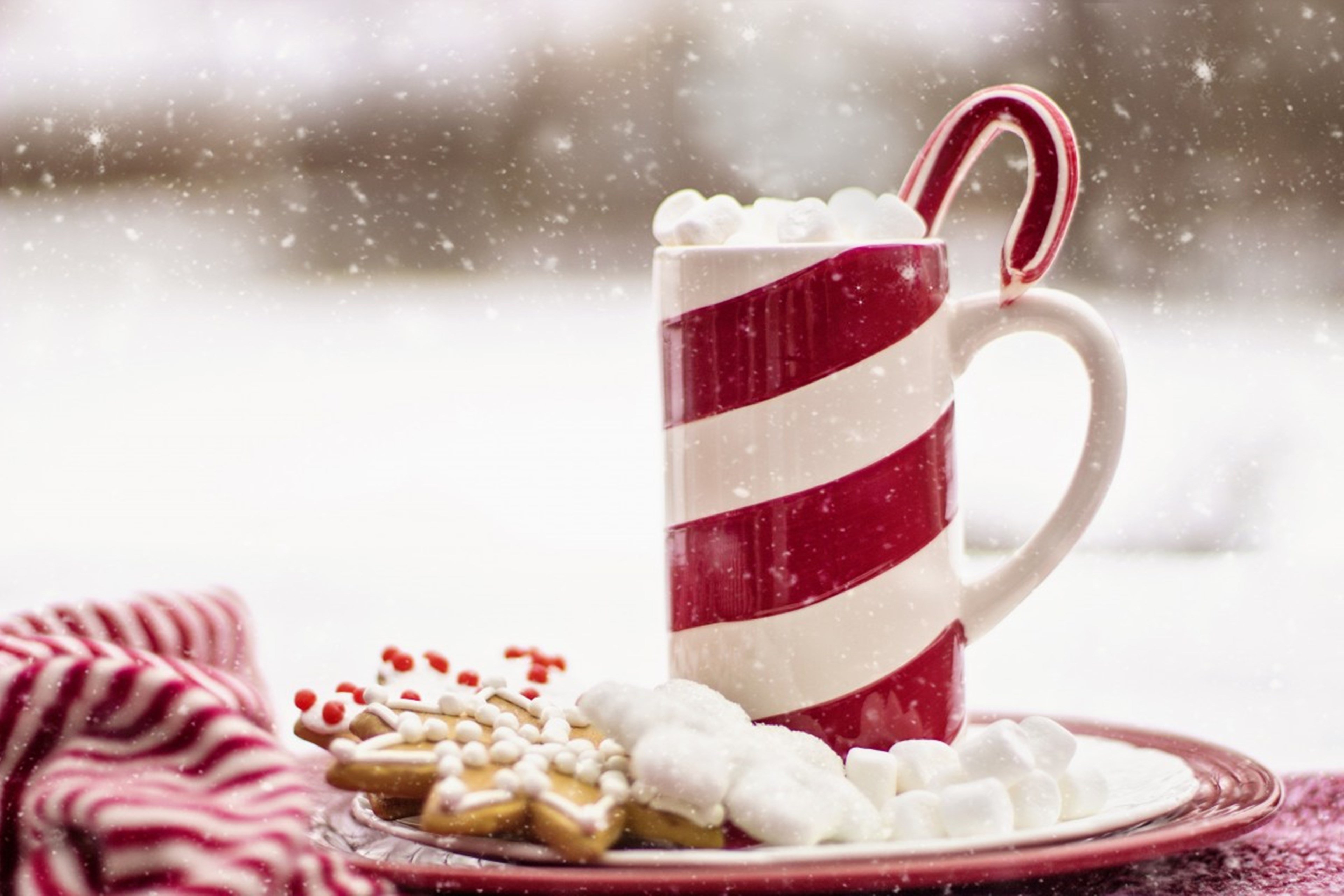holiday inn express branford new haven by ihg