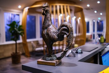 vogelgrun