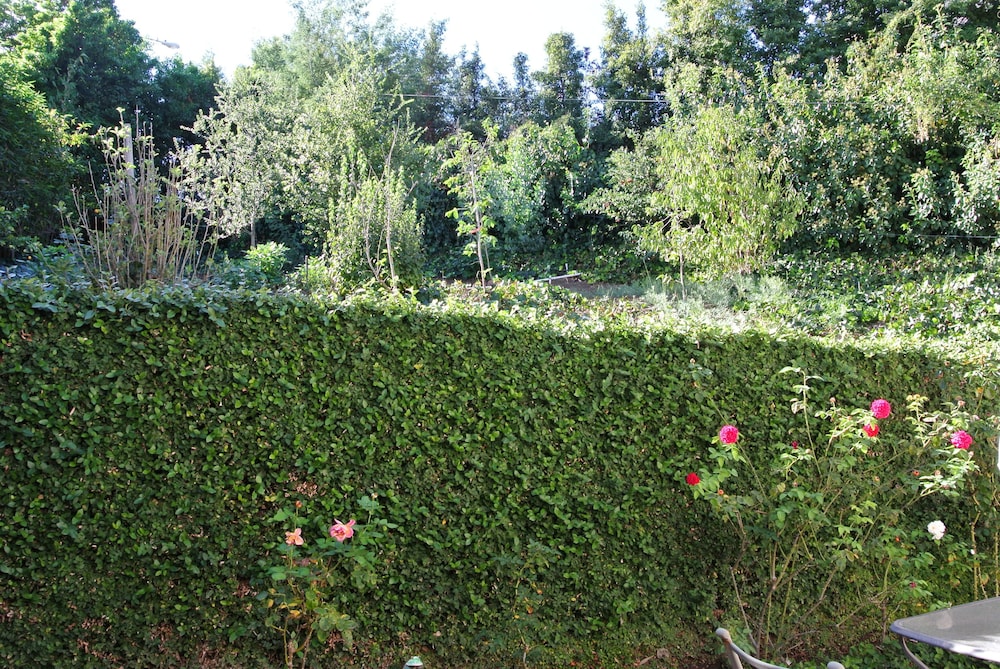 bed and breakfast in hollywood hills