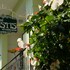 skiathos