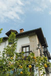 hotel palacio la casona de cerrazo