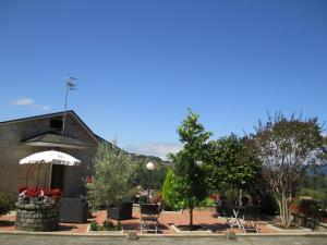 hotel chola