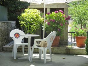 hotel chola