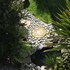 joya garden and villa studios