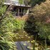 joya garden and villa studios